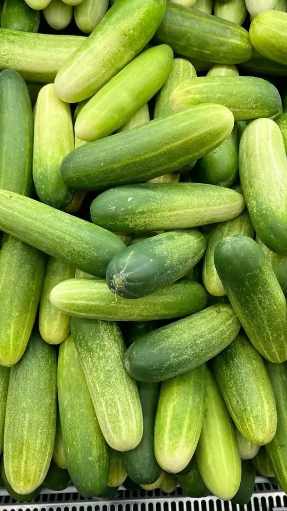cucumber