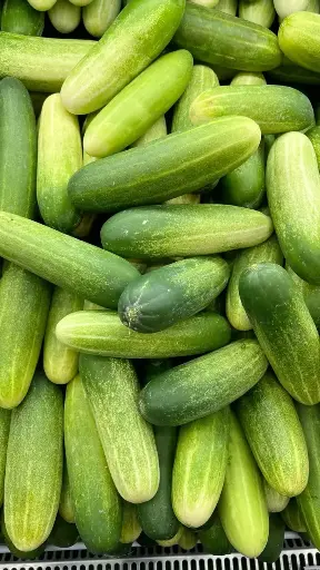 cucumber
